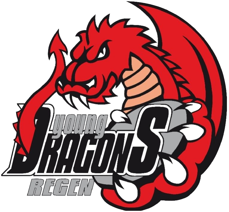 Young Dragons Logo